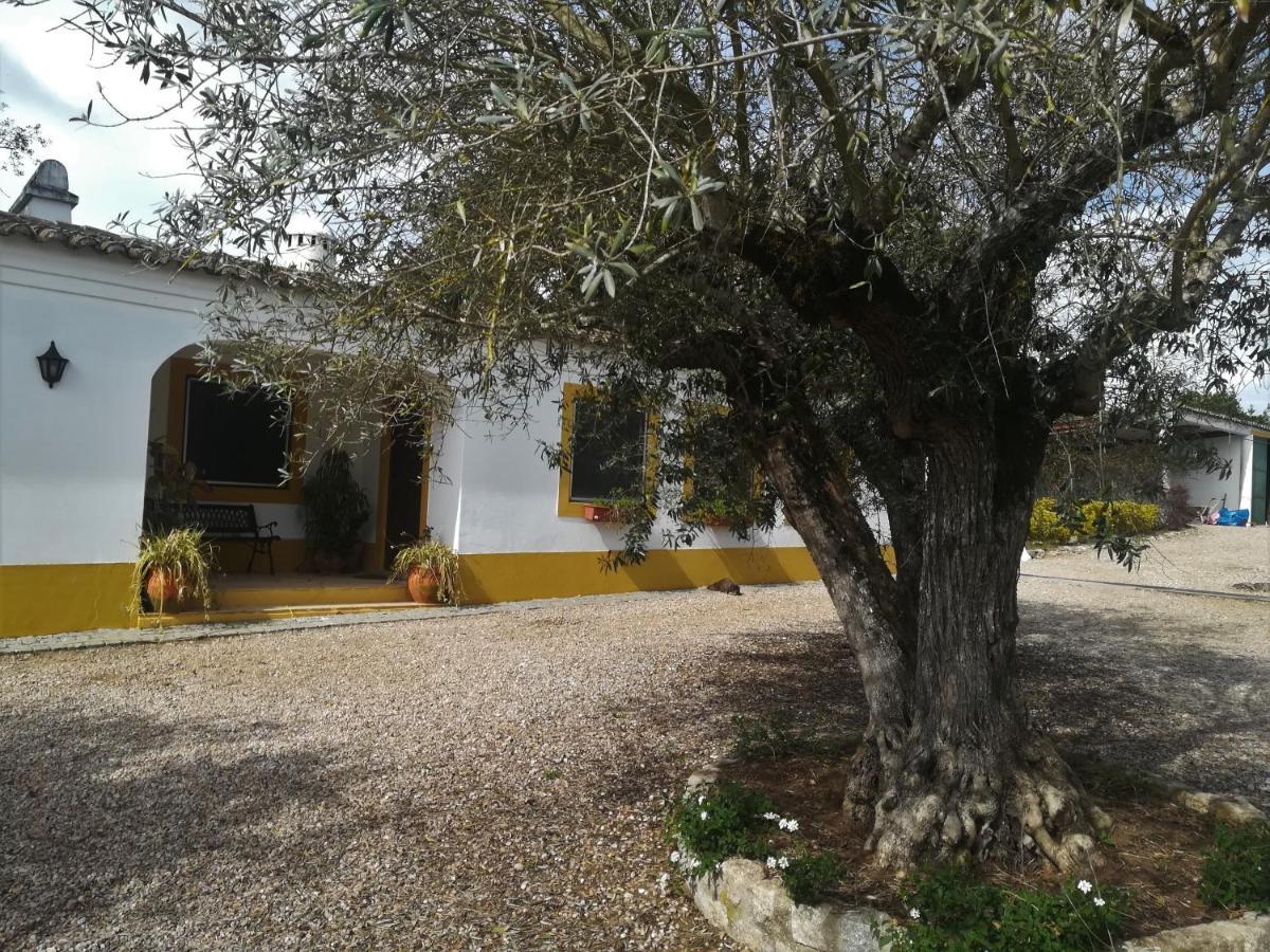 Quinta Do Cano Evora Exterior photo